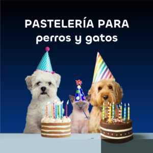 Cursos Pastelería para gatos y perros